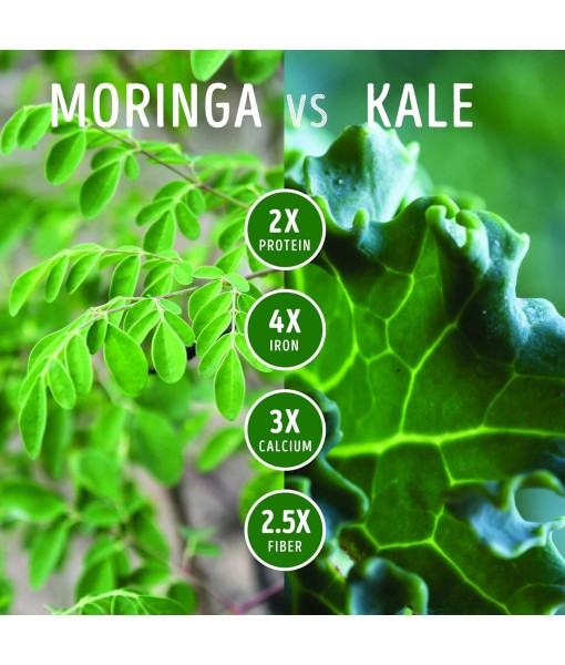 Kuli Kuli Organic Moringa Greens Smoothie Mix - Plant-Based Superfood Protein Smoothie Mix, Vanilla, 7.6 Ounce Pouch, Vegan and Gluten-Free with 8g Pea Protein and 1 Cup Greens Per Serving