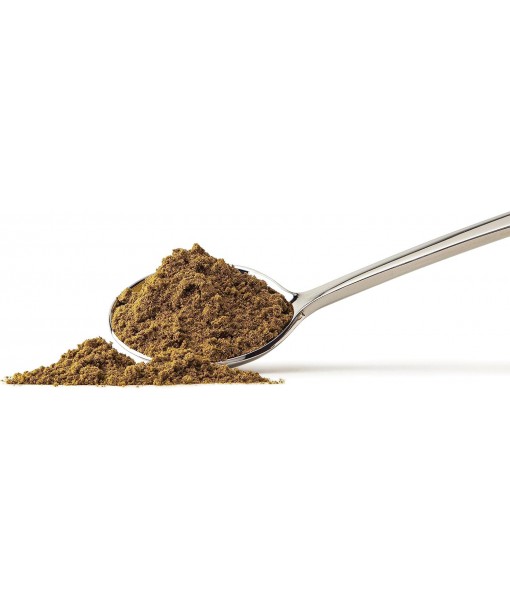 Foods Alive | Organic Hemp Protein Powder | 8 oz