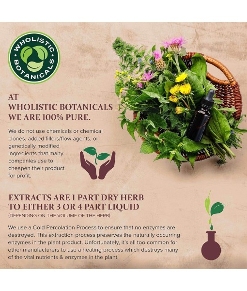 Live Plant Pea Protein Vanilla Powder