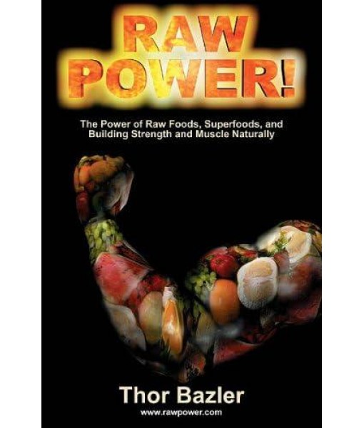 Raw Power! Protein Superfood (16 oz, Original Flavor)
