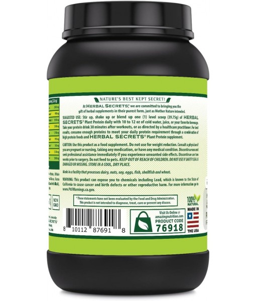 Herbal Secrets Plant Protein 2 Lb Powder | 28 Grams Protein per Serving | 6.1 Grams BCAA | Vegan Supplement | 23 Servings | Made in USA (2 Lb, Chocolate)