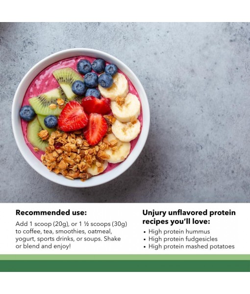 Planted Vegan Protein Powder | 20g Chocolate Pea Protein Powder | Low Sugar Plant Protein Powder | Gluten and Dairy Free Pea Protein Isolate | Non-GMO | 20 Servings