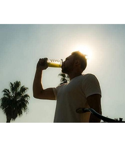 VIVO Life Perform Vegan Protein Powder, Raw Cacao Flavor - BCAA Pea & Hemp Blend Plant-Based Protein Shake (2.17 Pound (Pack of 1))