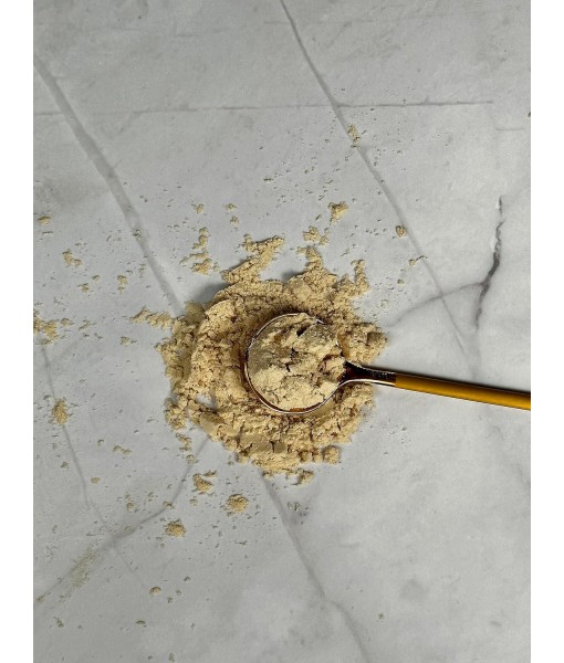 RawGuru Organic Pea Protein Powder - 16 oz - USDA Organic | Gluten Free | Non-GMO | Vegan | Plant Protein Powder