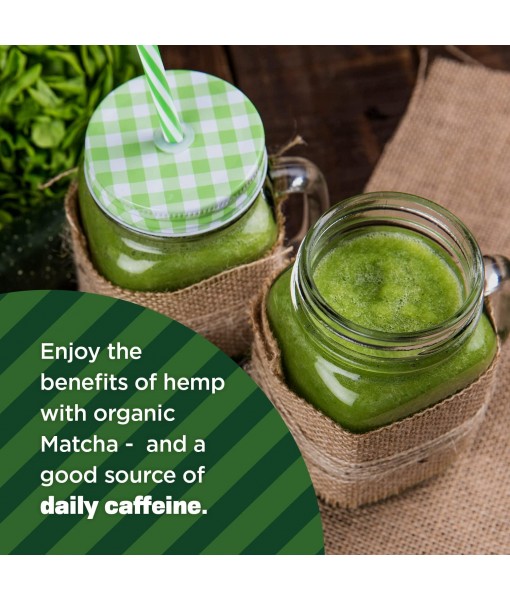 Manitoba Harvest Organic Hemp & Matcha Powder, 5.5 oz – Energy, 6g of Protein, 2g of Fiber per Serving – Matcha Protein Powder - Vegan, Non-GMO Project Verified - 56g of Caffeine - Packaging May Vary