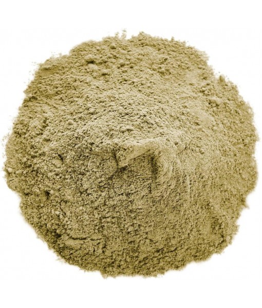 Food to Live Organic Hemp Protein Powder, 1 Pound — 50% Protein, Non-GMO, Non-Irradiated, Pure, Kosher, Vegan Superfood, Rich in Iron and Fiber