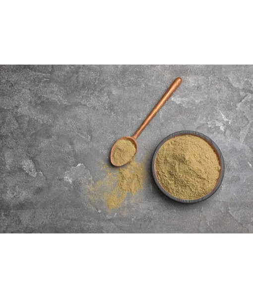 Food to Live Organic Hemp Protein Powder, 1 Pound — 50% Protein, Non-GMO, Non-Irradiated, Pure, Kosher, Vegan Superfood, Rich in Iron and Fiber