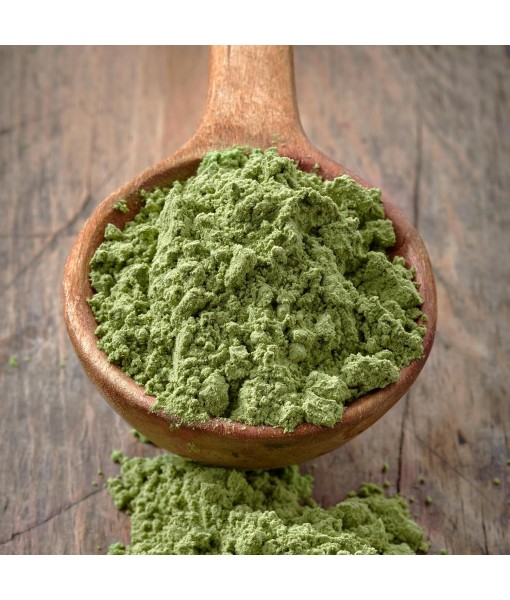 PURE ORIGINAL INGREDIENTS Vegan Hemp Seed Protein Powder (1 lb) Smoothies & Shakes, Nutty Flavor, Smooth Texture