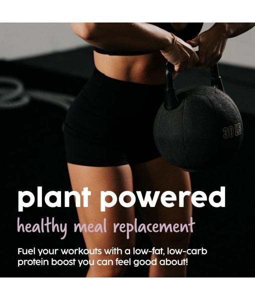 BOWMAR NUTRITION Vegan Protein, Vegan Gluten Free Protein Powder, 20-22g of Protein, Low Fat, Delicious Tasting. Pea, Pumpkin Seed, Watermelon Seed, & Sunflower Seed Protein (Blueberry Donut)