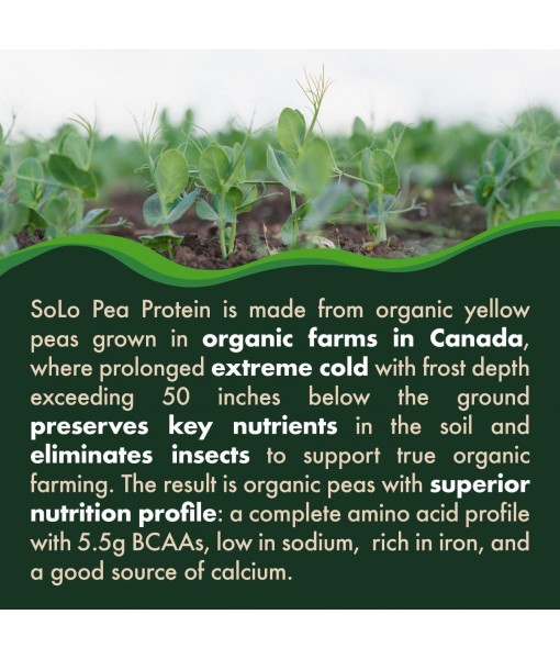 Solo Organic Pea Protein Powder, Low in Sodium, Canada Grown Peas, 100% Vegan, Non-GMO, Unflavored Plant Based Protein Powder with BCAA (2.7 lbs)