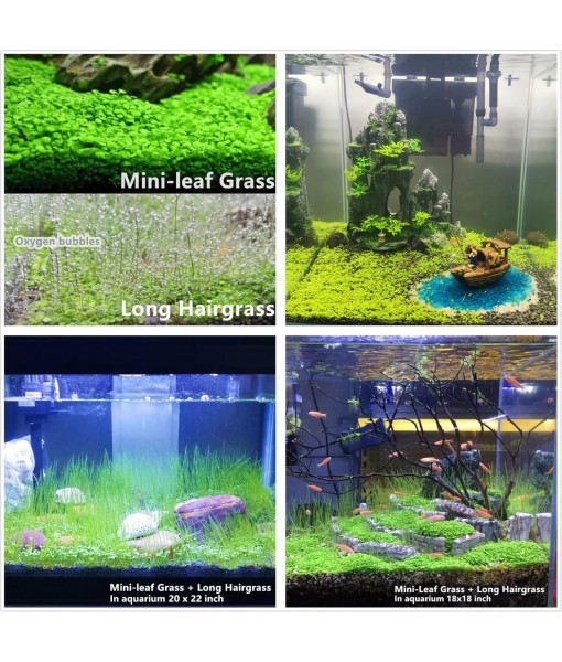 Aquarium Plant S.e,e,ds. not Fish Tank Aritificial Plastic Plant,10gram Mini-Leaf+8grame Long Hair Grass Fresh Water Carpet Decor