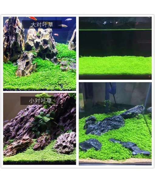 Aquarium Plant S.e,e,ds. not Fish Tank Aritificial Plastic Plant,10gram Mini-Leaf+8grame Long Hair Grass Fresh Water Carpet Decor