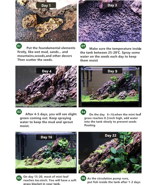 Aquarium Plant S.e,e,ds. not Fish Tank Aritificial Plastic Plant,10gram Mini-Leaf+8grame Long Hair Grass Fresh Water Carpet Decor