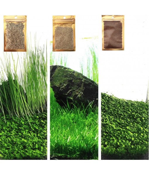 3 Aquarium Plants Set, (0.36ozTiny+0.36oz Long+0.36oz Short) Fresh Water Replacement for artificial, not Plastic, 3 types (0.36ozTiny+0.36oz Long+0.36oz Short) 28ABC, Green