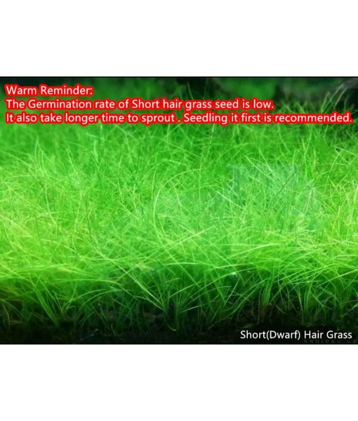 3 Aquarium Plants Set, (0.36ozTiny+0.36oz Long+0.36oz Short) Fresh Water Replacement for artificial, not Plastic, 3 types (0.36ozTiny+0.36oz Long+0.36oz Short) 28ABC, Green