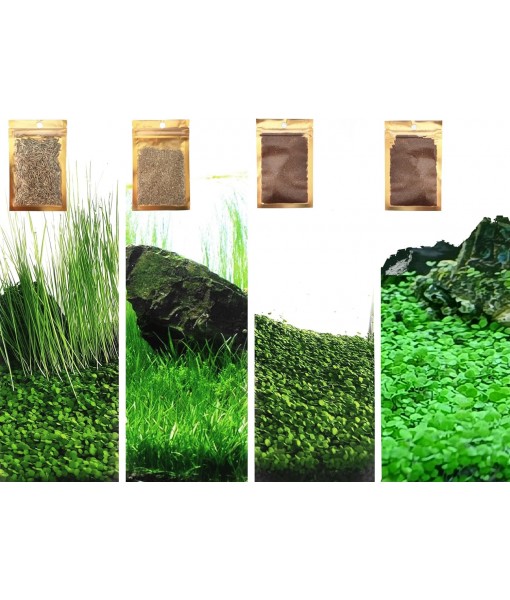 4 Pack Aquarium Plant S.e.e.ds, no Artificial Plastic Plant, Fish Tank Live Grass for All Substrate (0.36ozTiny+0.36oz Long+0.36oz Short+0.36oz Big Dual) ZQV-005