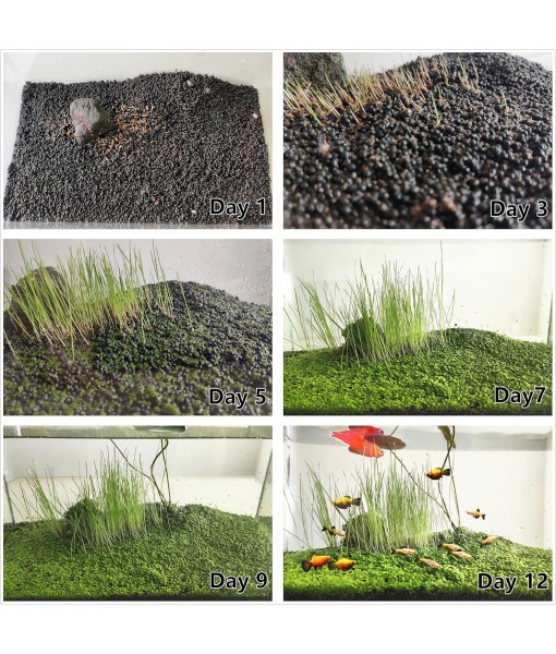 3 Aquarium Plants Set, (0.36ozTiny+0.36oz Long+0.36oz Short) Fresh Water Replacement for artificial, not Plastic, 3 types (0.36ozTiny+0.36oz Long+0.36oz Short) 28ABC, Green