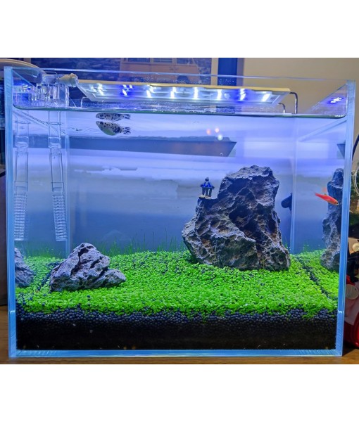 3 Aquarium Plants Set, (0.36ozTiny+0.36oz Long+0.36oz Short) Fresh Water Replacement for artificial, not Plastic, 3 types (0.36ozTiny+0.36oz Long+0.36oz Short) 28ABC, Green