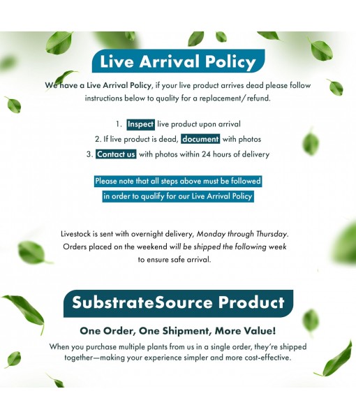 Anubias Live Aquarium Plants - Potted Freshwater Plant for Fish Tanks, Terrariums - Beginner Friendly Low Light (Nana, 1 Pot)