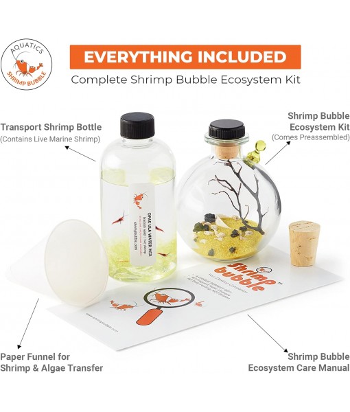 Self-Sustaining Ecosystem - Natural. Contains Live Opae Ula Shrimp