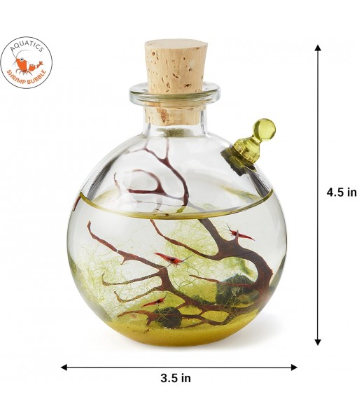 Self-Sustaining Ecosystem - Natural. Contains Live Opae Ula Shrimp