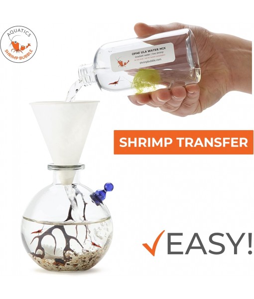 Self-Sustaining Ecosystem - Natural. Contains Live Opae Ula Shrimp