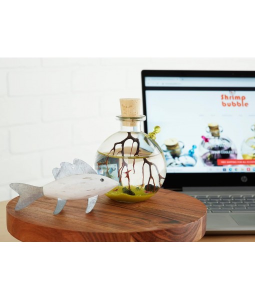 Self-Sustaining Ecosystem - Natural. Contains Live Opae Ula Shrimp