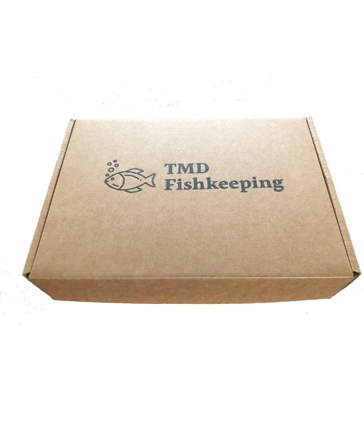 50 Water Spangles (Salvinia Minima) Live Floating Plants for Aquarium or Pond by TMDFishKeeping