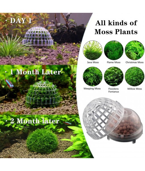 3 PCS Aquarium Moss Ball Holder Professional Aquarium Plant Holder Plastic Moss Ball Fish Tank Plant Holder with Filter Stone for Fish Tank Accessories