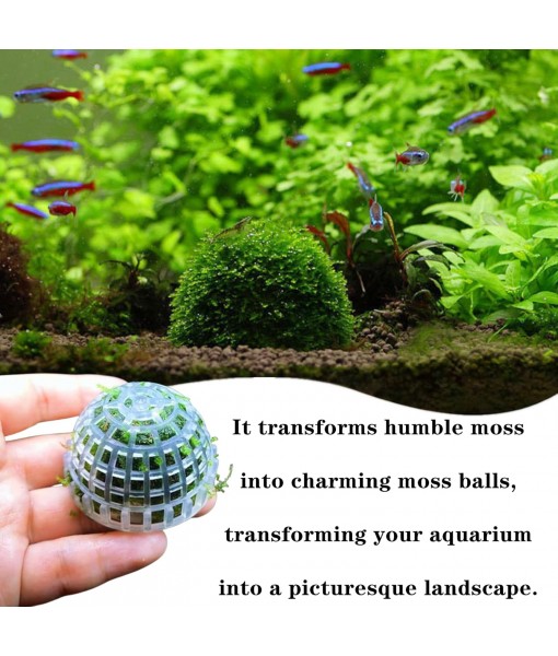 3 PCS Aquarium Moss Ball Holder Professional Aquarium Plant Holder Plastic Moss Ball Fish Tank Plant Holder with Filter Stone for Fish Tank Accessories