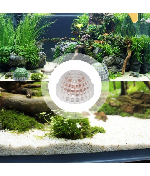 3 PCS Aquarium Moss Ball Holder Professional Aquarium Plant Holder Plastic Moss Ball Fish Tank Plant Holder with Filter Stone for Fish Tank Accessories