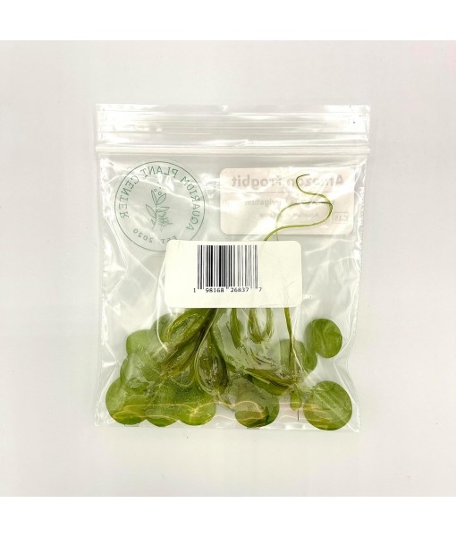 Frogbit, Limnobium laevigatum, Live Aquarium/Aquatic/Freshwater/Floating/Pond Plant/Planted Tank/Aquascaping/Paludarium by Aquarium Plant Center (6 Plants (18+ Leaves))