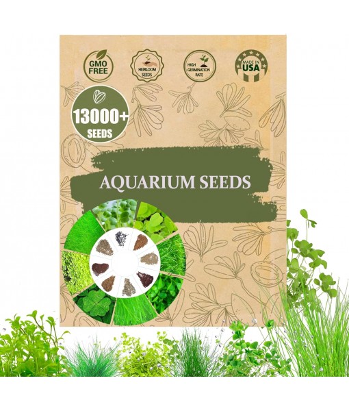 Premium Aquarium Plant Seeds for Planting – 13,000+ Live Mixed Seeds, 8 Varieties – Easy-to-Grow Aquatic Greenery for Lush, Vibrant Fish Tanks