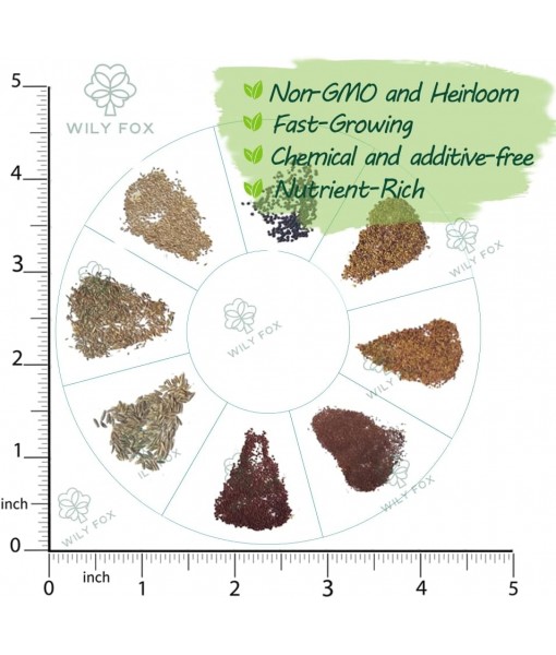 Premium Aquarium Plant Seeds for Planting – 13,000+ Live Mixed Seeds, 8 Varieties – Easy-to-Grow Aquatic Greenery for Lush, Vibrant Fish Tanks