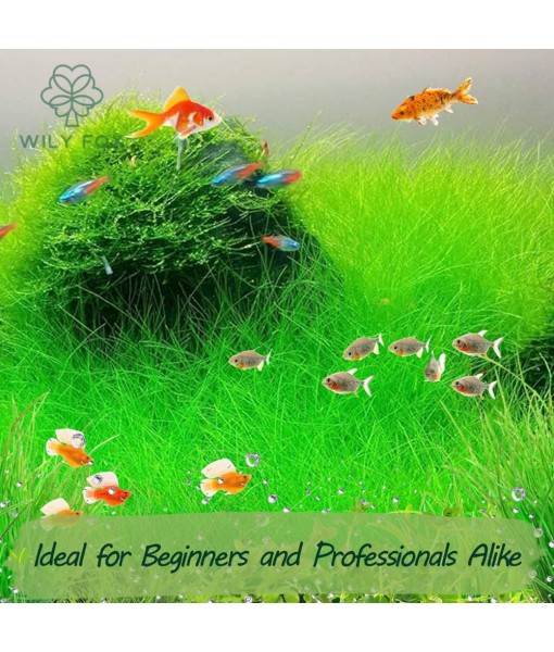 Premium Aquarium Plant Seeds for Planting – 13,000+ Live Mixed Seeds, 8 Varieties – Easy-to-Grow Aquatic Greenery for Lush, Vibrant Fish Tanks