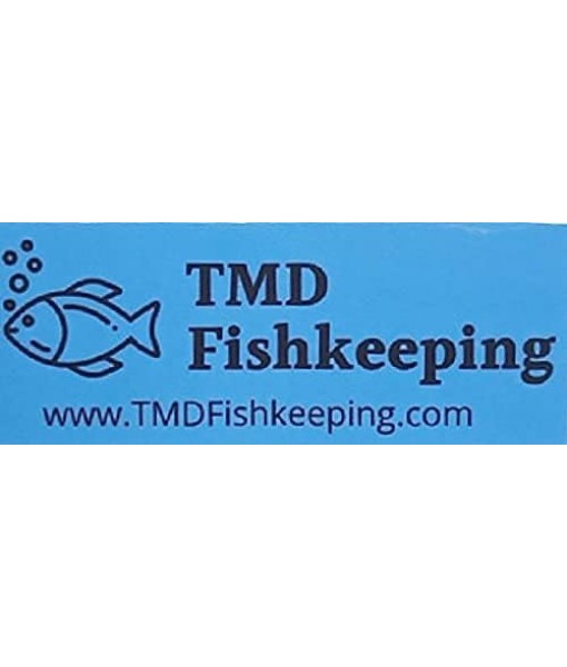 40+ Giant Duckweed (Spirodela polyrhiza) Live Floating Plants for Aquarium or Pond