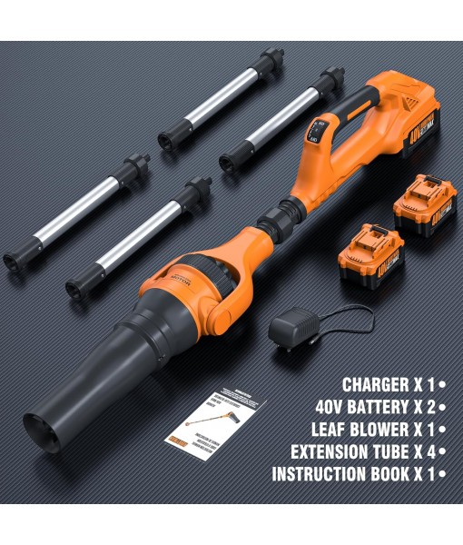 Roof Gutter Cleaning from The Ground, 40V Leaf Blowers Cordless, 580CFM/180MPH with 2 Batteries and Charger, Brushless 2-Speed Motor for Gutter Cleaning Extension Attachment Kit for Garden,House