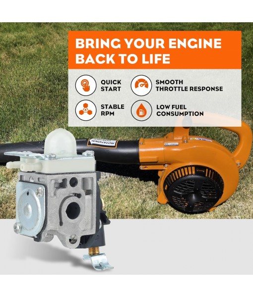Hipa PB250 Carburetor for Echo PB250LN PB-250 ES250 Leaf Blower RB-K106 with Carb Tube