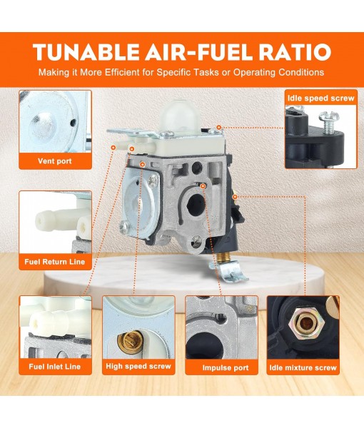Hipa PB250 Carburetor for Echo PB250LN PB-250 ES250 Leaf Blower RB-K106 with Carb Tube