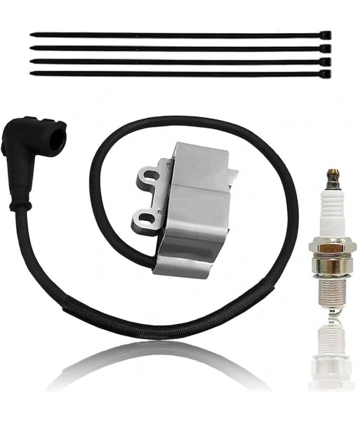 PB580T Ignition Coil A411001620 Fit for Echo PB-580T PB-580H PB580 Leaf Blowers Shindaiwa EB600RT Engine Module Replace A411001621 A10058