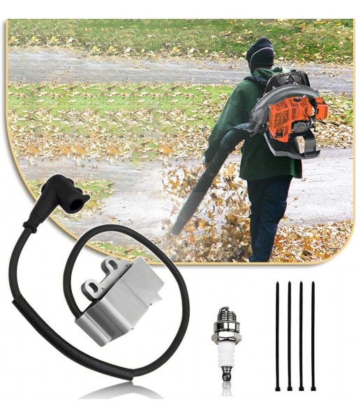 PB580T Ignition Coil A411001620 Fit for Echo PB-580T PB-580H PB580 Leaf Blowers Shindaiwa EB600RT Engine Module Replace A411001621 A10058