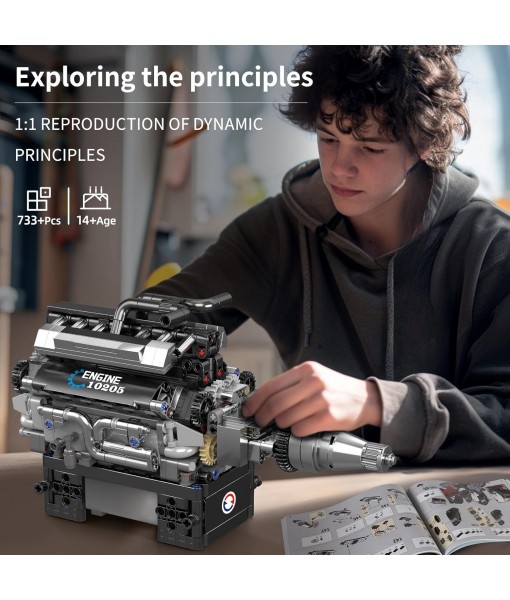Mould King V12 Engine Building Blocks Set, 10205 Engine Model That Runs, Mini Engine Build Kit for Adults with Battery Box and Motor, Engineering Construction STEM Toy for Youth(733 Pcs)