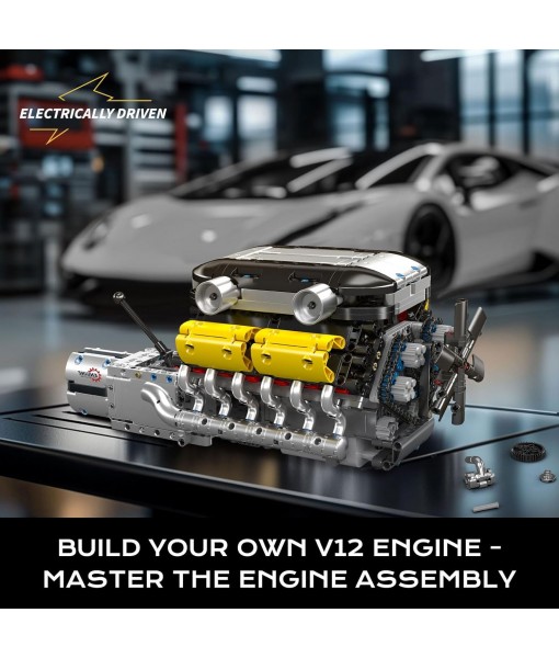 Mould King 10202 LB V12 Engine Model Kit That Works, Build Your Own Mini Car Engine Replica, Engeering Build Blocks Toys for Adults, Home or Office Décor (1260 Pcs)